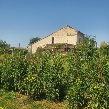 Au Mas De Janita Hotel Cahuzac-sur-Vère Kültér fotó
