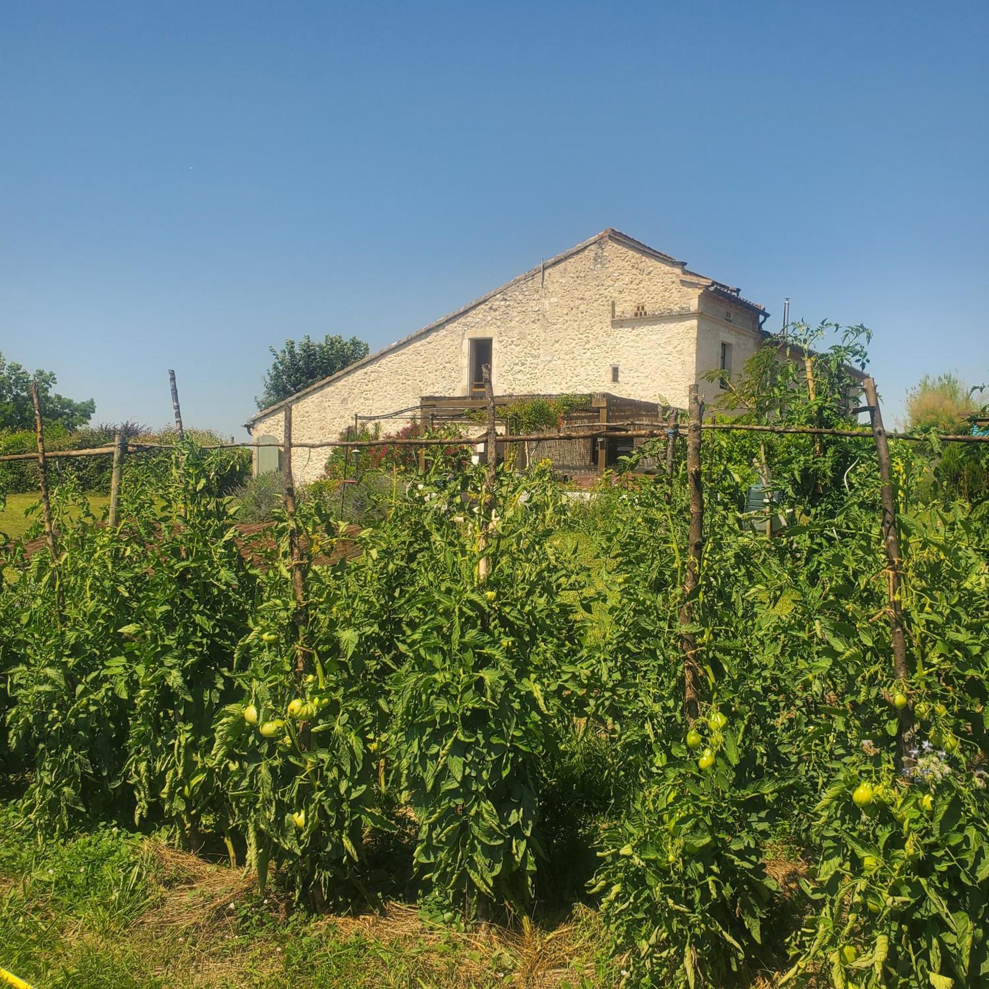Au Mas De Janita Hotel Cahuzac-sur-Vère Kültér fotó